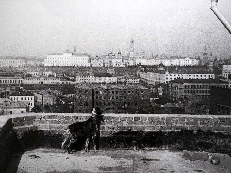 1. Вид на Кремль с крыши  дома писателей. Фотография М.М. Пришвина 1930-х годов